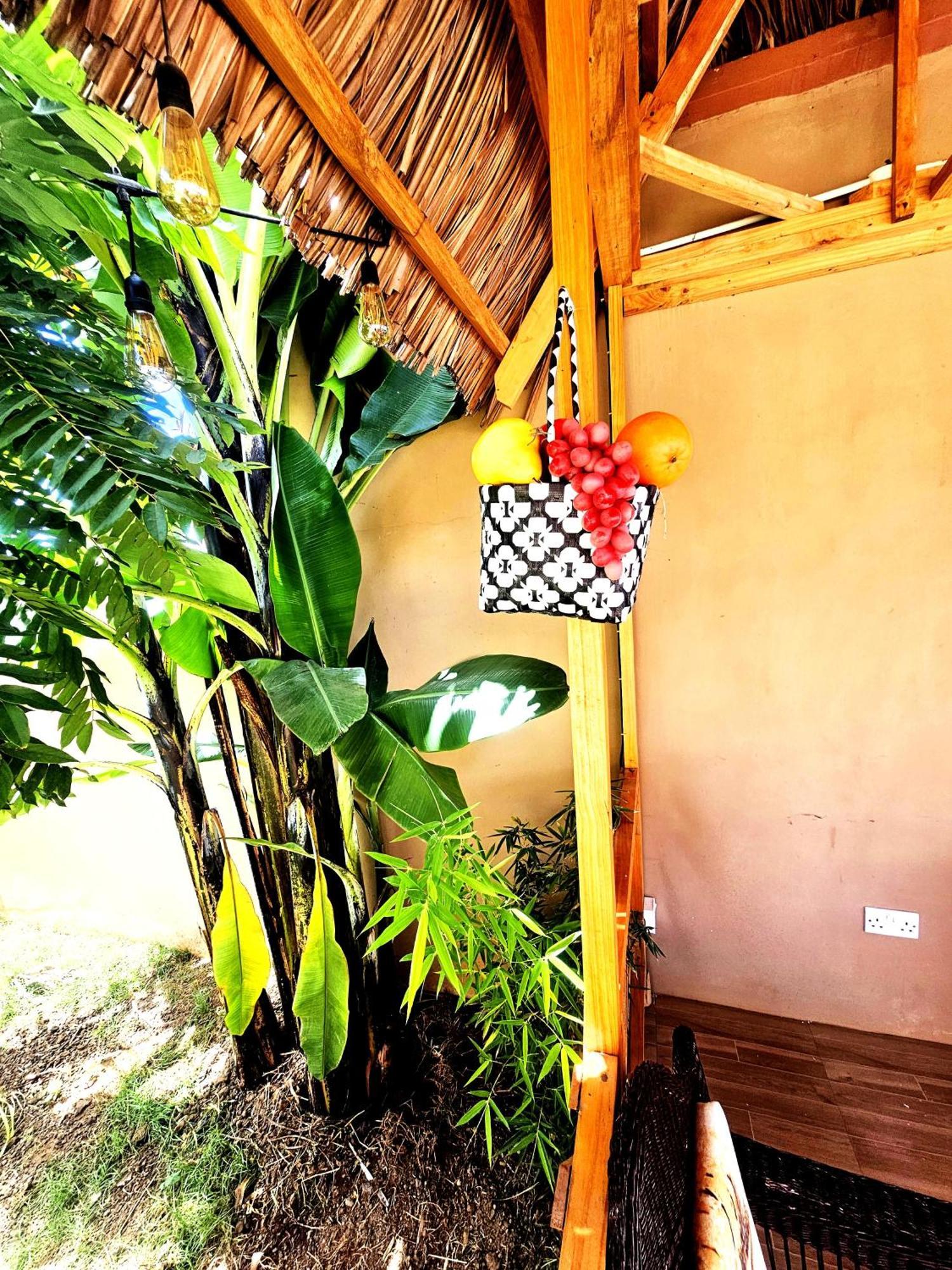 Safi House Bed & Breakfast Boma la Ngombe Exterior photo